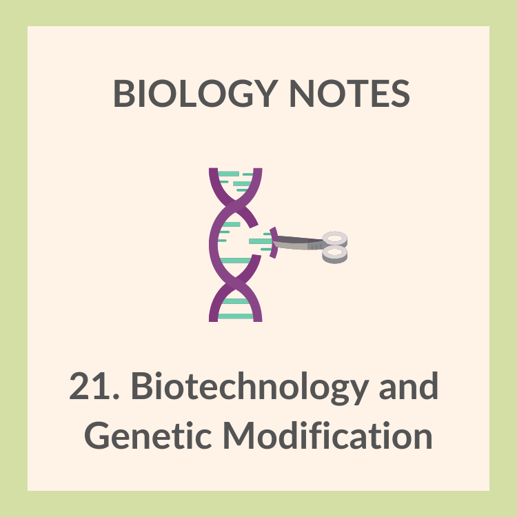 Study Notes | IGCSE Biology 0610 | 21. Biotechnology & Genetic Modification