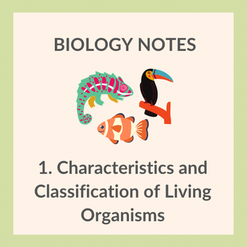 Biology StudyBuddy biology-studybuddy