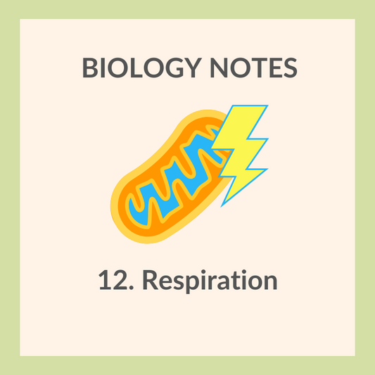 Study Notes | IGCSE Biology 0610 | 12. Respiration