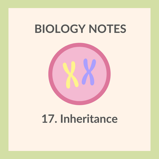 Study Notes | IGCSE Biology 0610 | 17. Inheritance