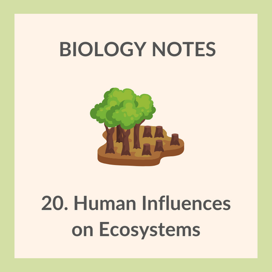 Study Notes | IGCSE Biology 0610 | 20. Human Influences on Ecosystems