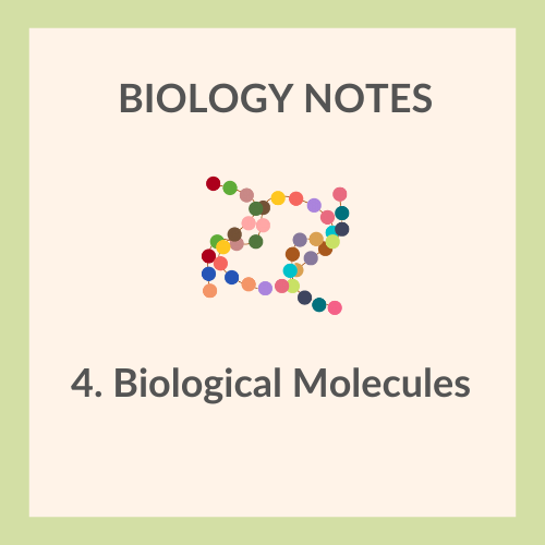 Study Notes | IGCSE Biology 0610 | 4. Biological Molecules