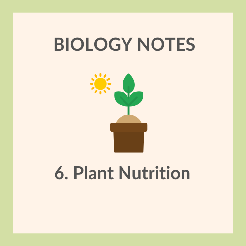 Study Notes | IGCSE Biology 0610 | 6. Plant Nutrition