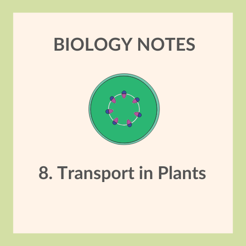 Study Notes | IGCSE Biology 0610 | 8. Transport in Plants