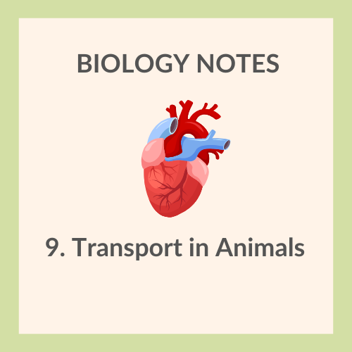 Study Notes | IGCSE Biology 0610 | 9. Transport in Animals