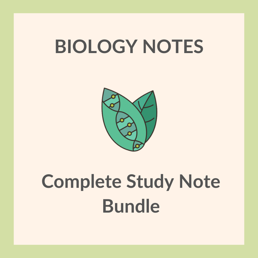 Study Notes | IGCSE Biology 0610 | Complete Study Note Bundle