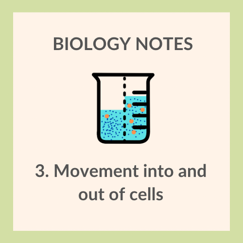 Study Notes | IGCSE Biology 0610 | 3. Movement into and out of Cells